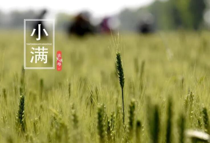 【濟南鑫浩焊接】二十四節氣之“小滿(mǎn)”